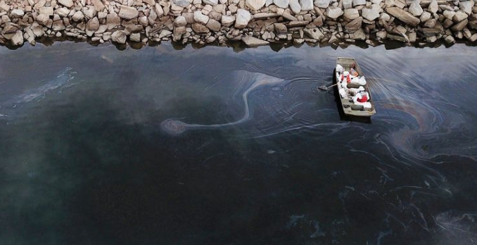 California Pipeline Disaster: Major Oil Spill Devastates Wildlife and Coast