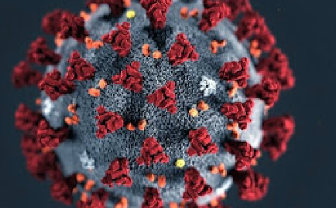 UK Reports Over 42,000 Covid Cases and 35 Deaths Amid Omicron Concerns