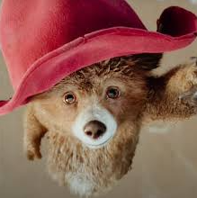 UK Release Date Announced for Paddington in Peru Film