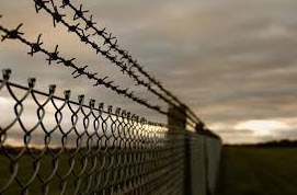 Texas Files Lawsuit Against Biden Administration Over Removal of Border Razor Wire