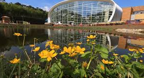 Teenager Dies After Falling from Skateboard at Center Parcs